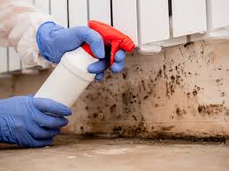 Why You Should Choose Our Mold Remediation Services in Amberley, OH